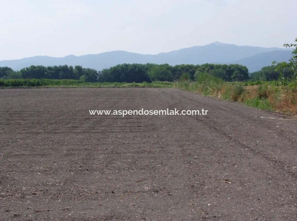 Farm For Sale In Dalyan Eskikoy Eskikoy Oriya 14,900M2 Plot For Sale Field