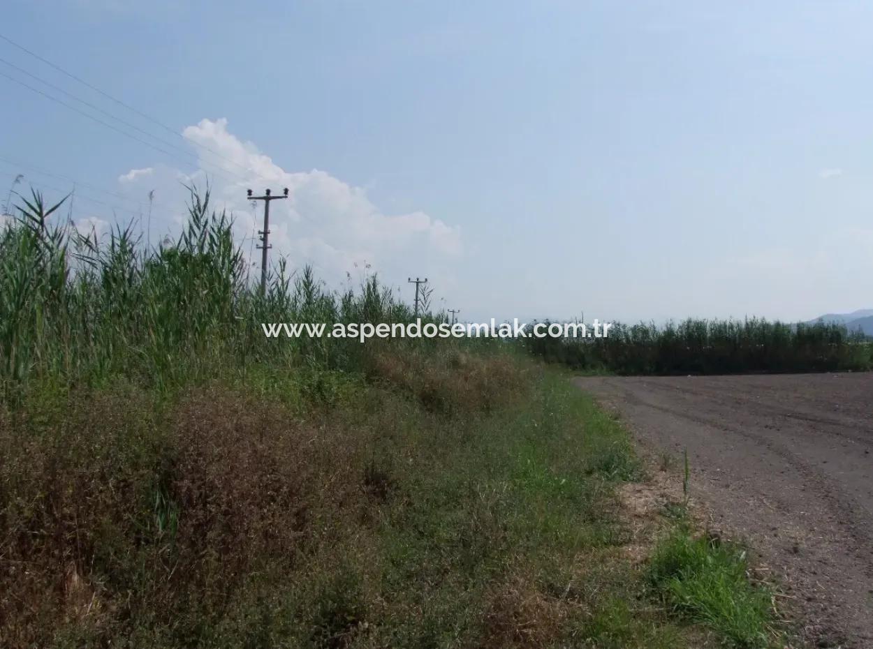 Farm For Sale In Dalyan Eskikoy Eskikoy Oriya 14,900M2 Plot For Sale Field