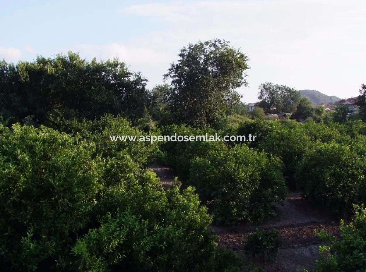 Near The Centre Of Dalyan In Dalyan Plot For Sale For Sale 987M2