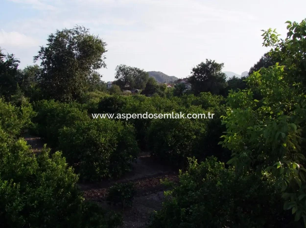 Near The Centre Of Dalyan In Dalyan Plot For Sale For Sale 987M2