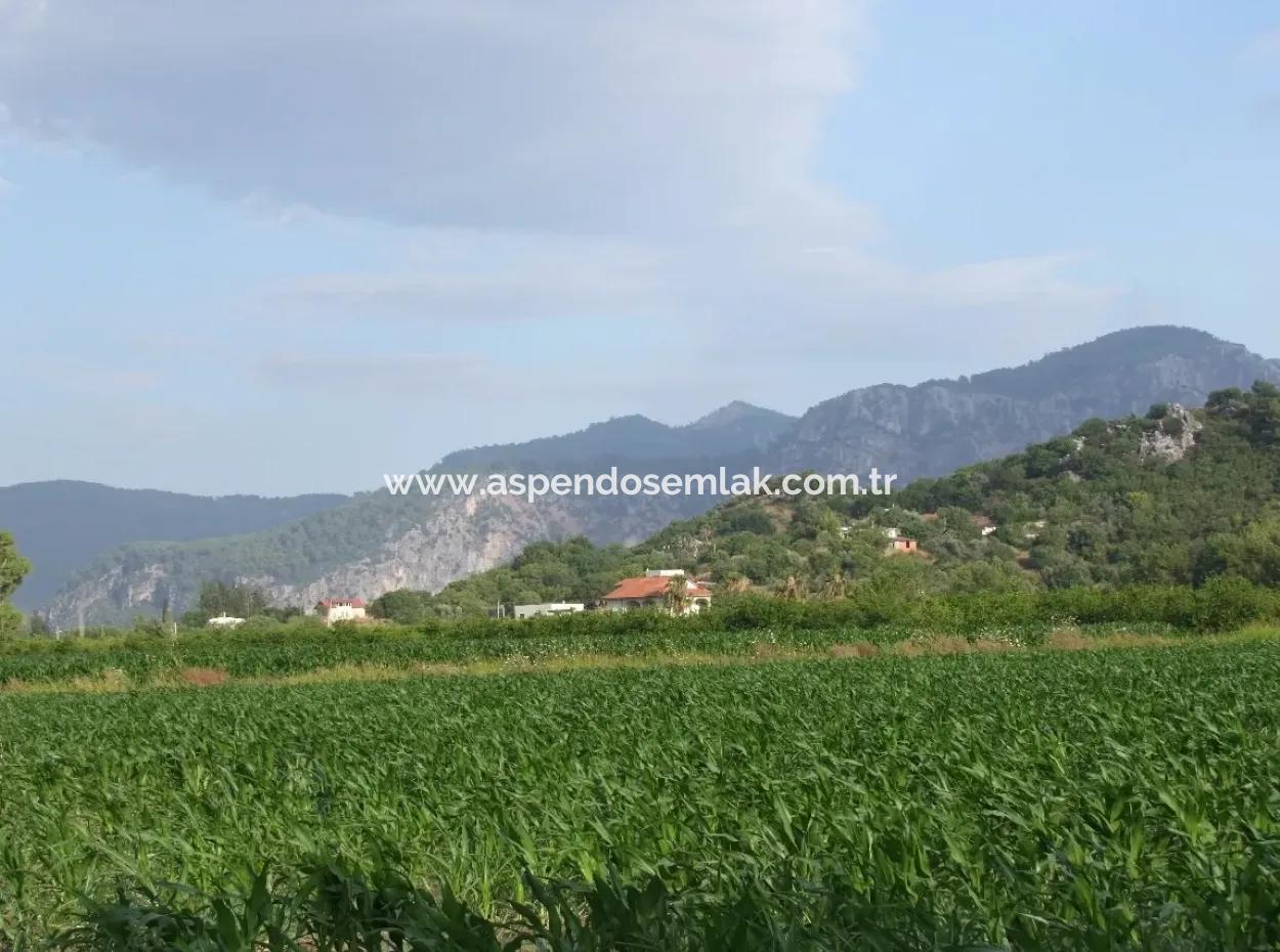 Farm For Sale Near The Centre Of Dalyan,14, 612M2 Farm For Sale