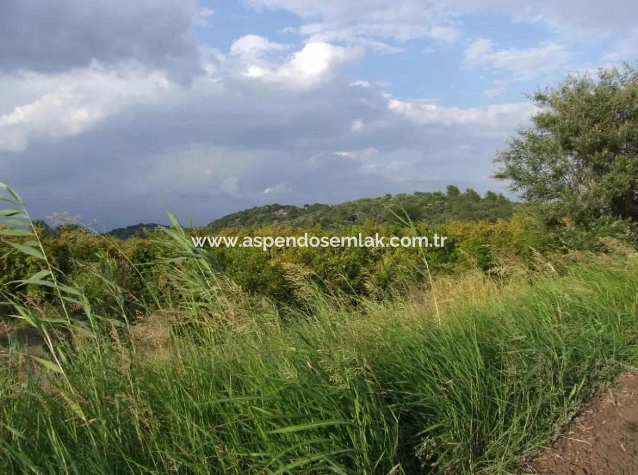 Farm For Sale Near The Centre Of Dalyan,14, 612M2 Farm For Sale