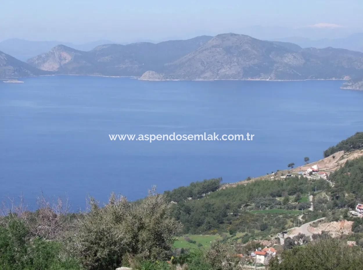 For Sale In Faralya Faralya With Sea View And 11,286M2 Land For Sale Tourism
