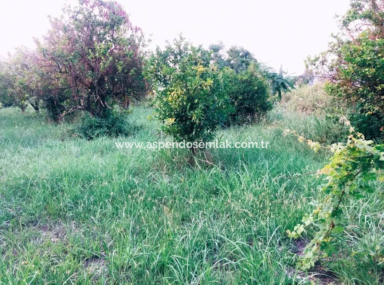 Archer In The Archers Plot For Sale For Sale In Marmarli 1,500M2 Plot For Sale