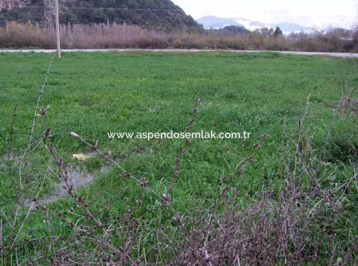 Gulpinar Dalyan Dalyan For Sale In 1002M2 Plot For Sale For Sale Cornerstone
