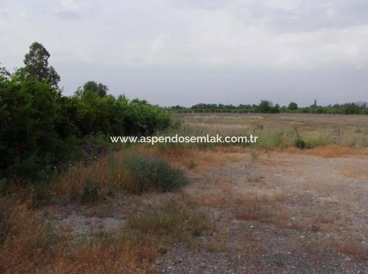 Commercial Plot For Sale In Dalyan, Dalyan On Highway 17,805M2 Plot For Sale Bargain
