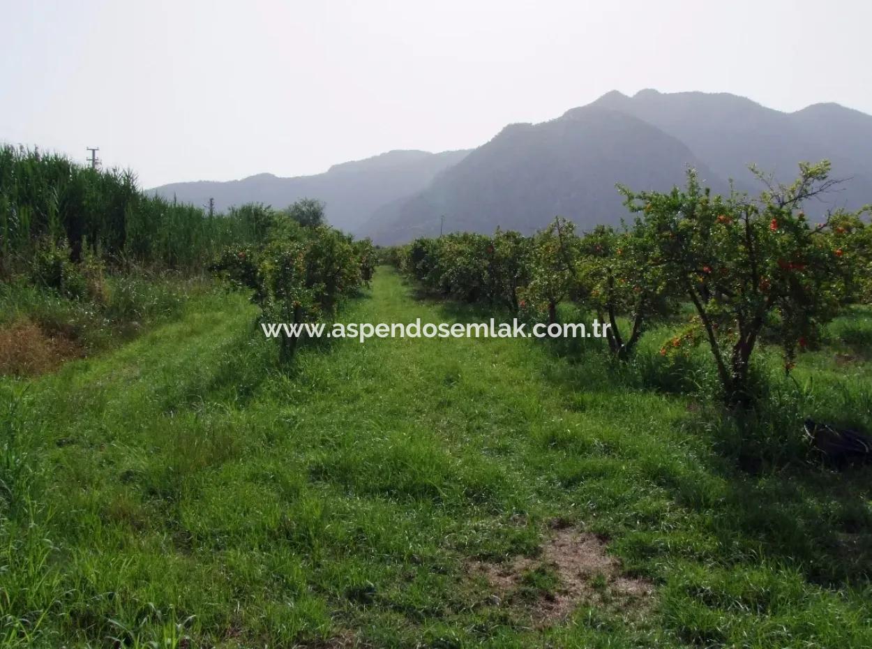 Merkez Dalyan Iztuzu Lake Garden Villa For Sale