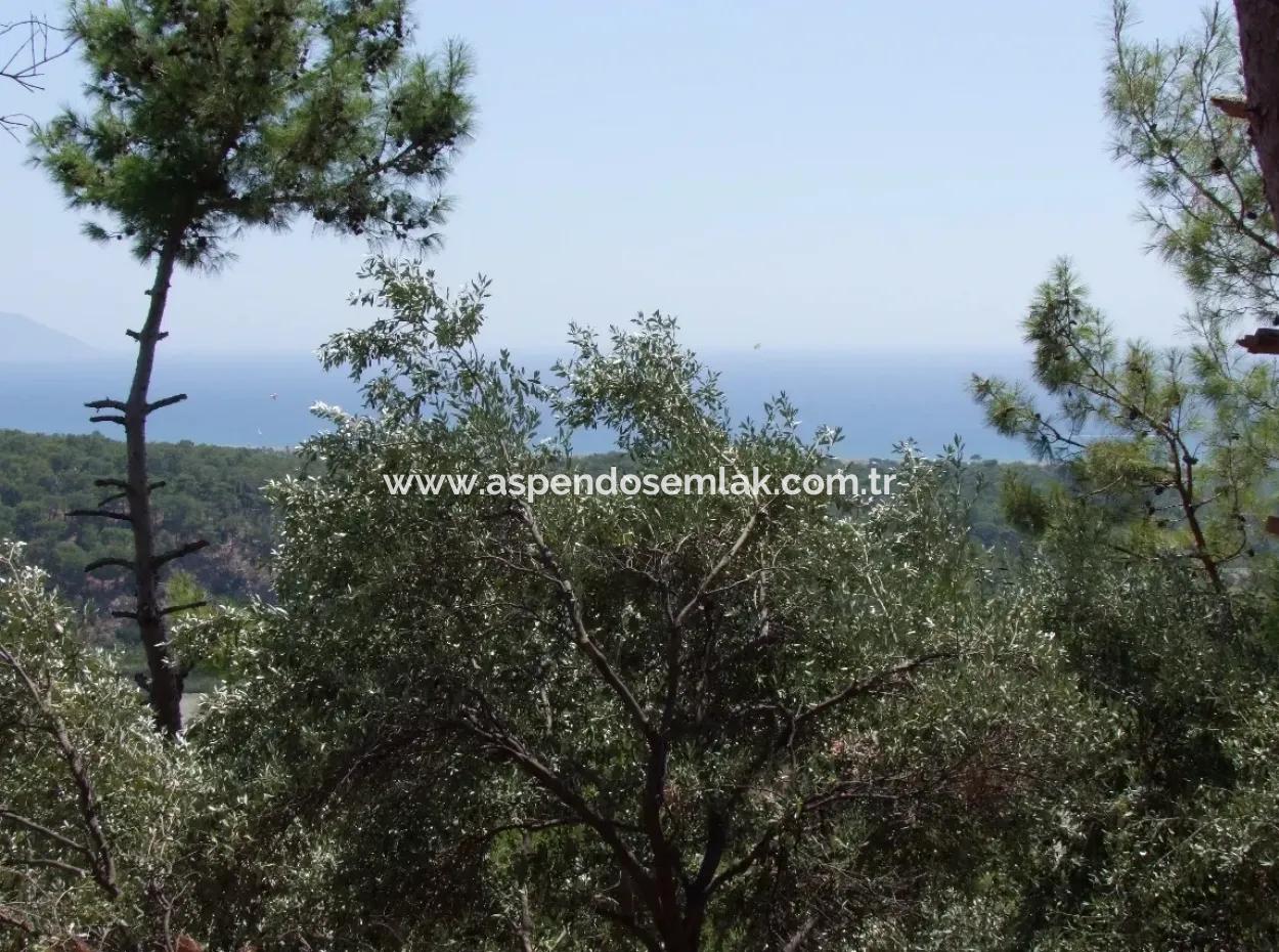 For Sale Land Also With Full Sea View For Sale In Sarigerme Land For Sale