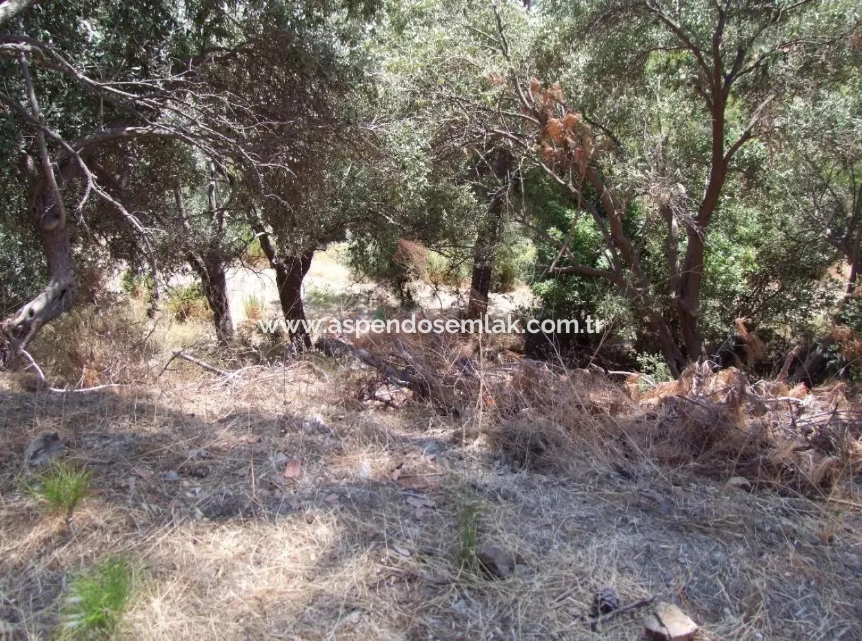For Sale Land Also With Full Sea View For Sale In Sarigerme Land For Sale