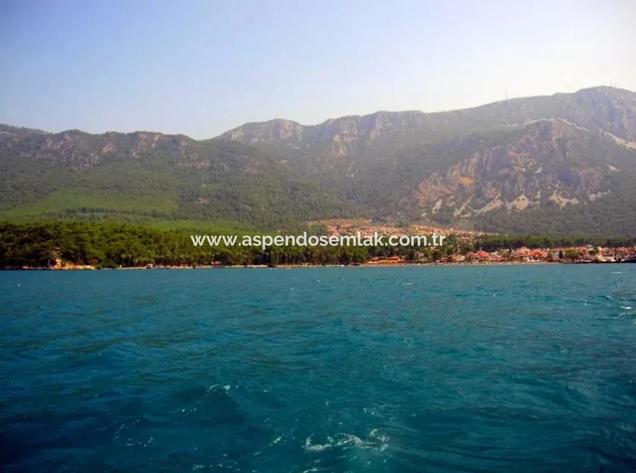 Gökçe Gökçe 21671M2 Farm For Sale For Sale