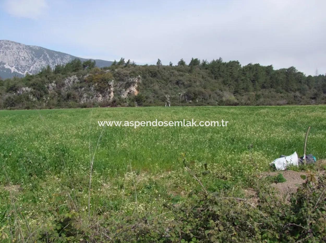 In Akyaka For Sale: Land For Sale Farm For Sale A Farm Near The Sea Of Ars, Yatirimlik 21625M2