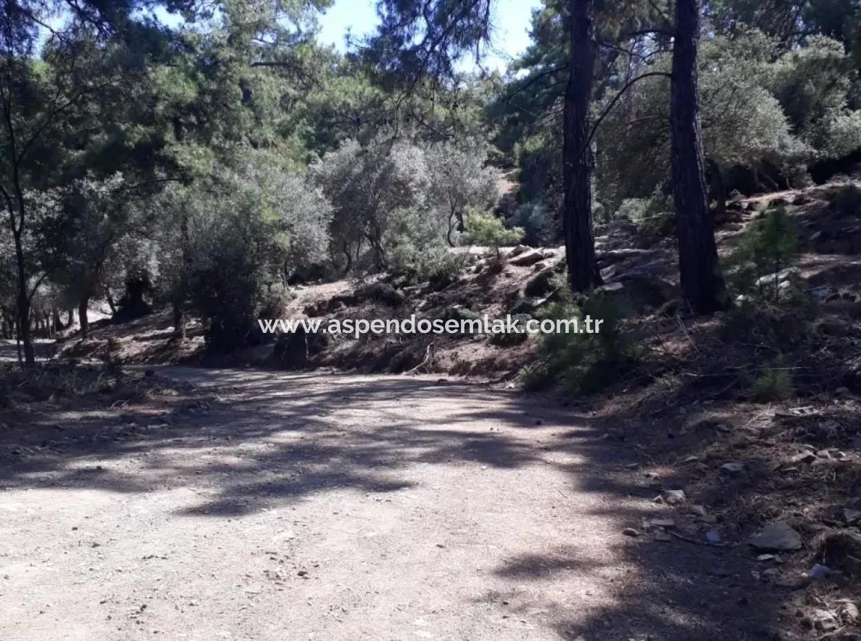 Dalyan Iztuzu In Dalyan For Sale For Sale In Candır 2367M2 2B