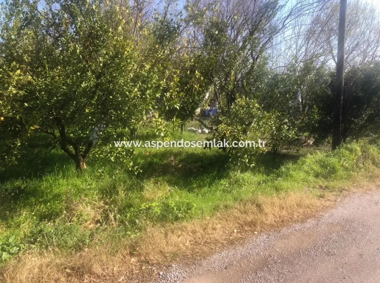 Raiders 803M2 Land For Sale In Plot For Sale