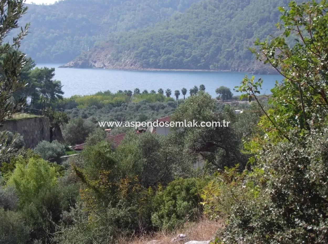 For Sale In Ekincik 5,391M2 Plot For Sale