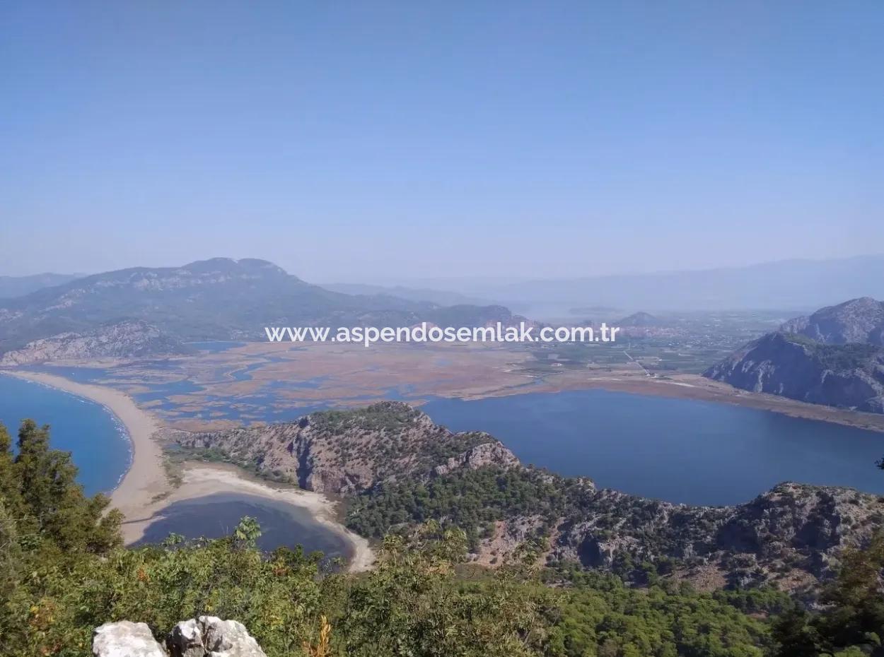 Land  For Sale With Sea View For Sale In Gokbel