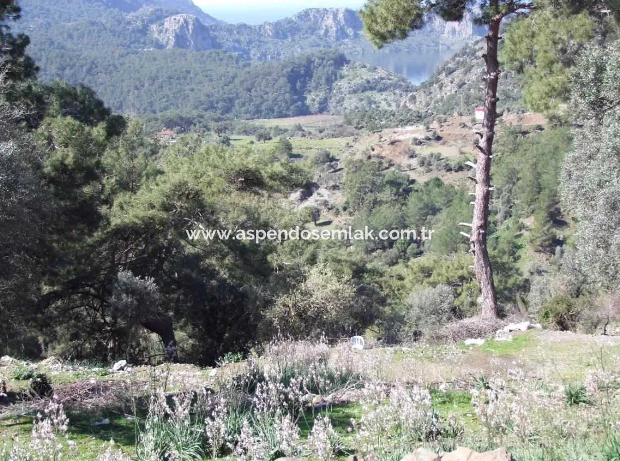 Land  For Sale With Sea View For Sale In Gokbel