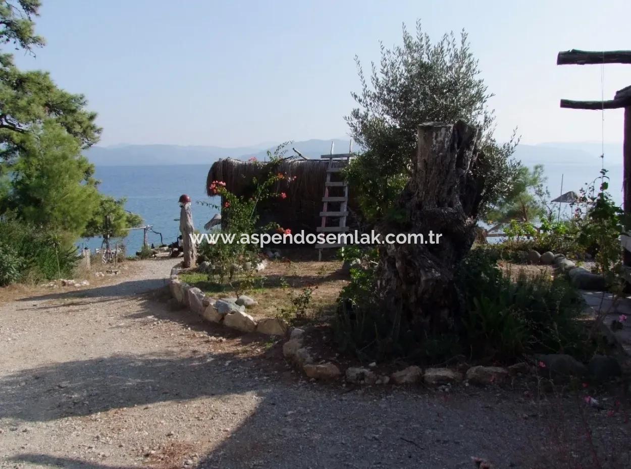 Beachfront Bungalow For Sale In Akbuk By The Sea In A Plot Of 800M2 Villa For Sale Turnalı