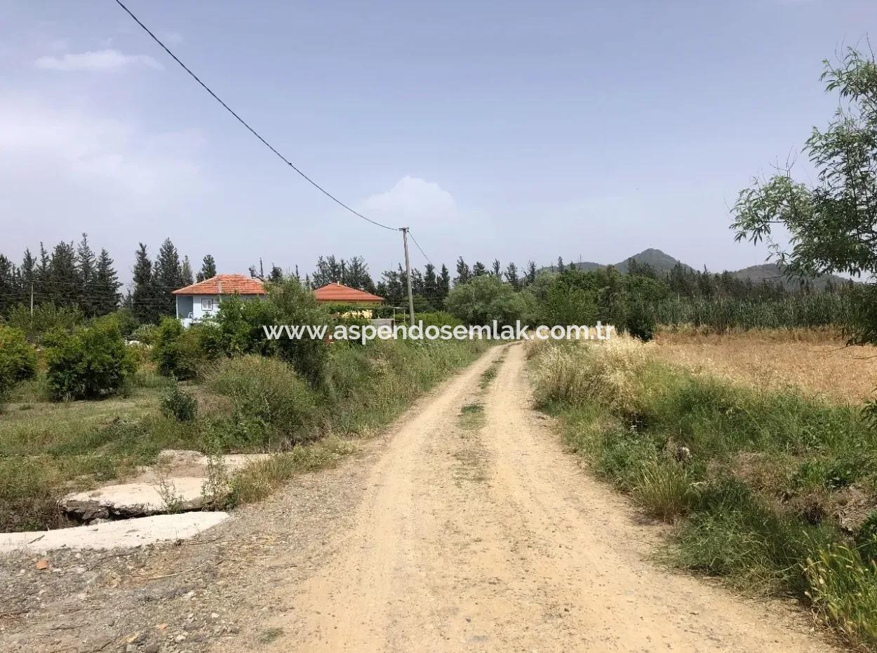 Farm Land For Sale 39 Acres In Eskikoy