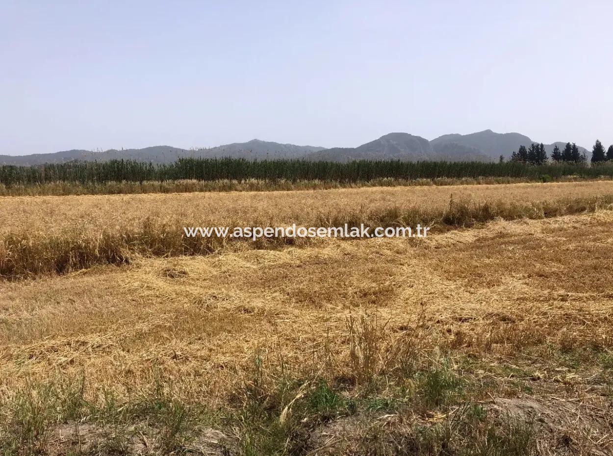 Farm Land For Sale 39 Acres In Eskikoy