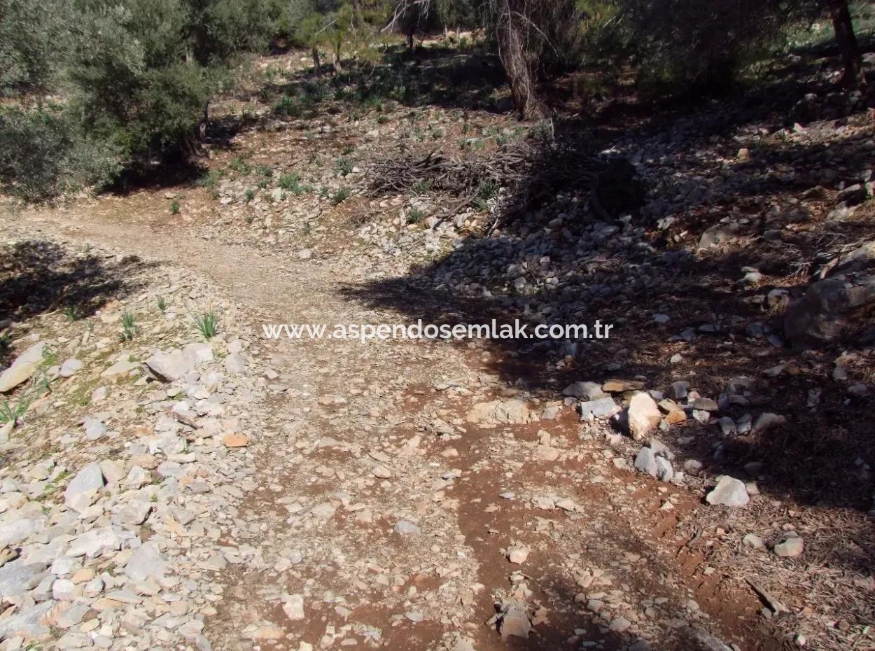 Çandır 5367M2 Farm Land For Sale Sea Views