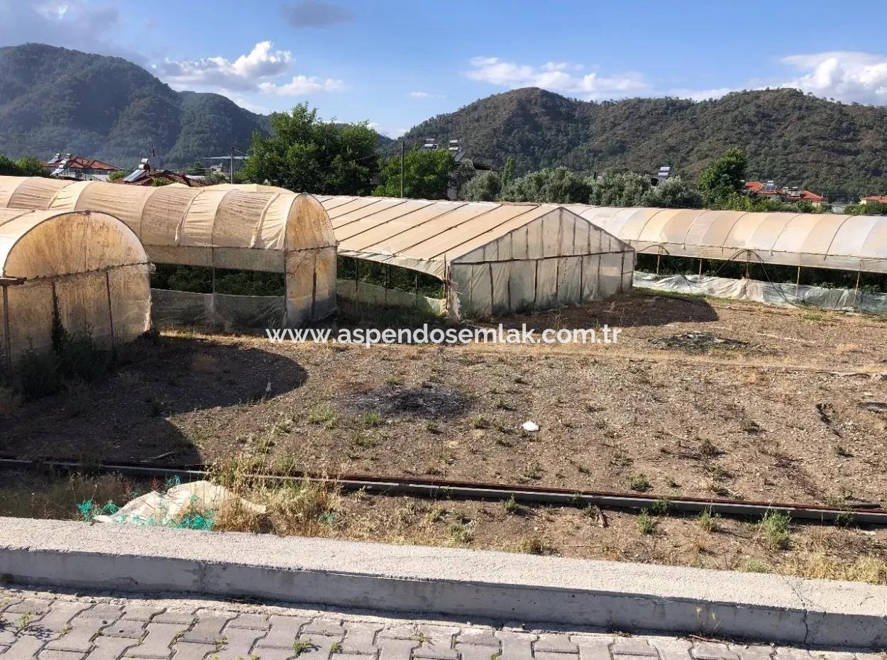 Oriya 560 560 Sq Ft Plot For Sale Commercial Land Main Road For Sale Eksiliyurt Zero