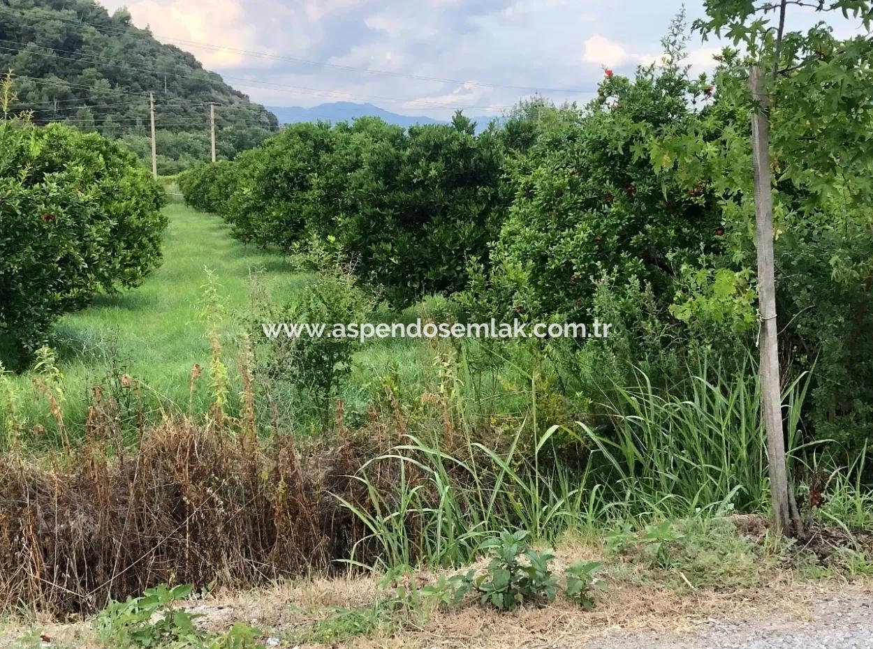 722M2 Plot For Sale In Dalyan Gülpınar For Sale