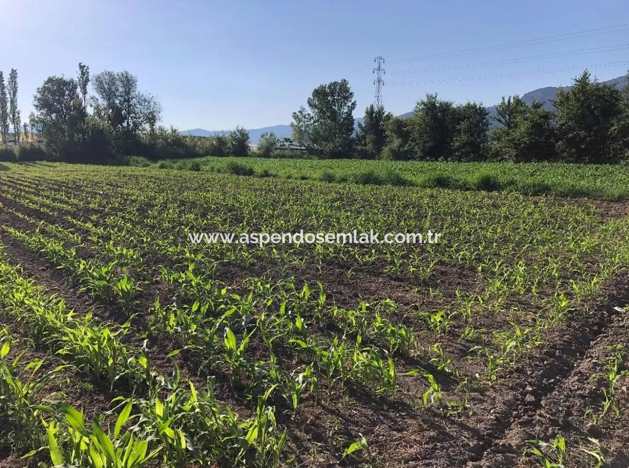 2200M2 Plot For Sale In Dalyan For Sale Dalyan