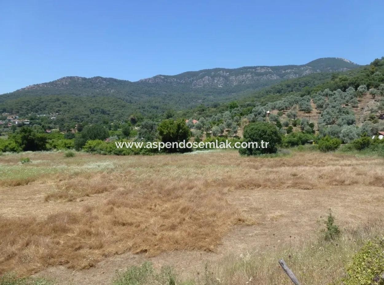 2300M2 Land For Sale Near The Center Of The Land For Sale