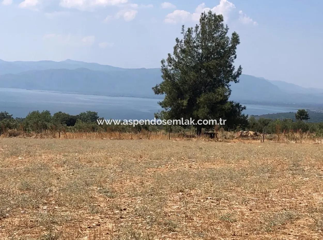 11.227M2 Land For Sale With Lake Views In Köyceğiz Zeytinalanı