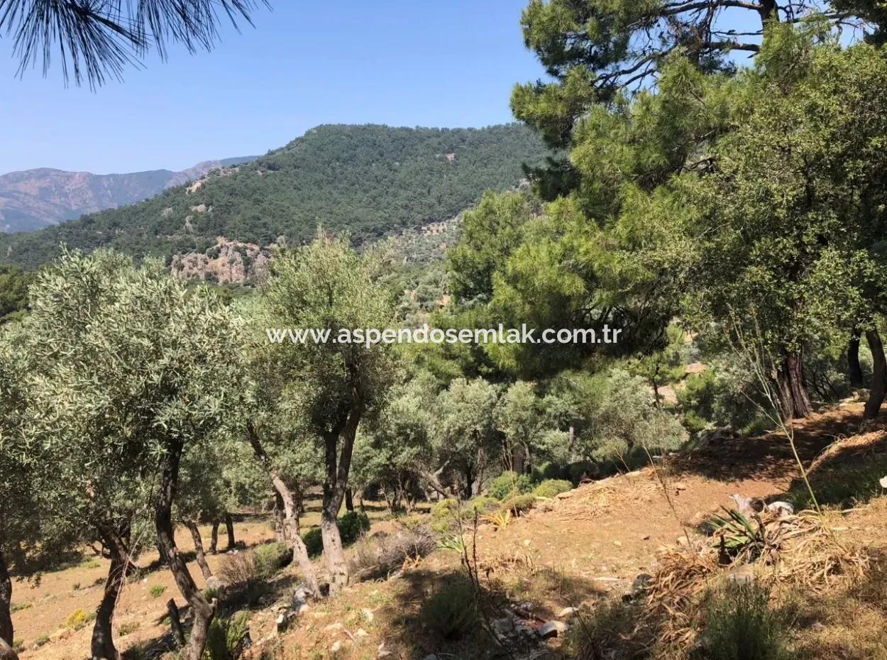 7034M2 Field For Sale With Sea View In Çandir