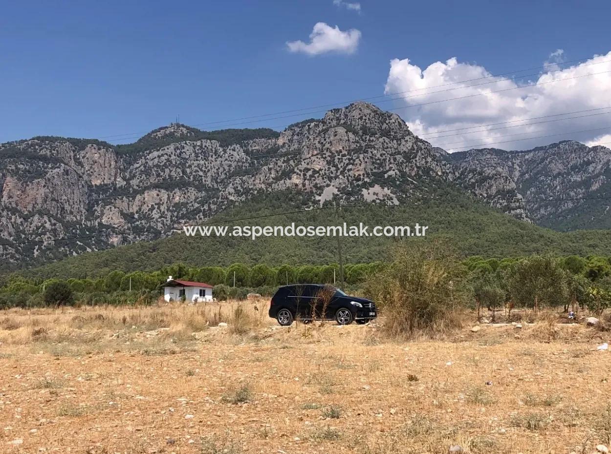 11.227M2 Land For Sale With Lake Views In Köyceğiz Zeytinalanı