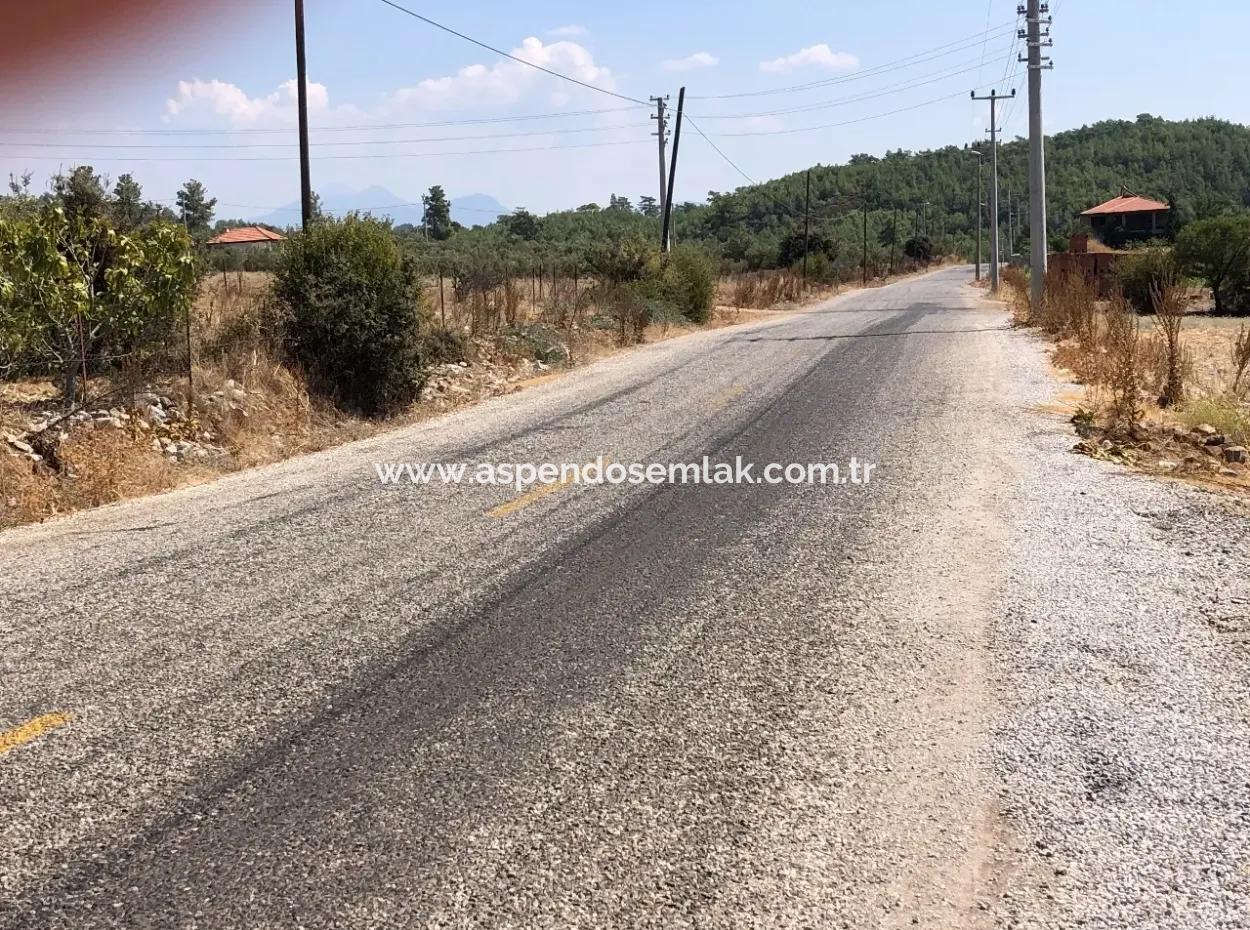 11.227M2 Land For Sale With Lake Views In Köyceğiz Zeytinalanı