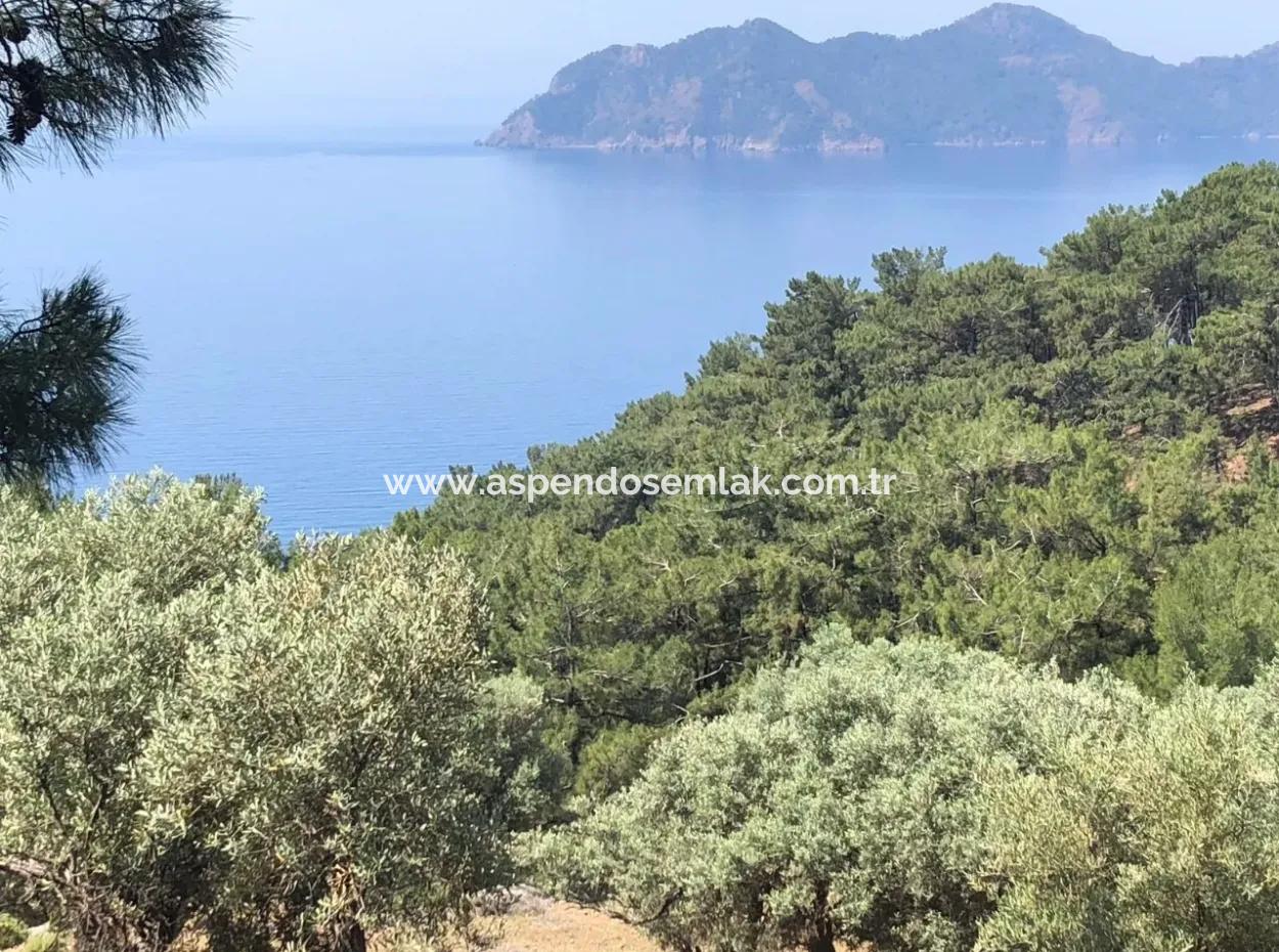 7034M2 Field For Sale With Sea View In Çandir