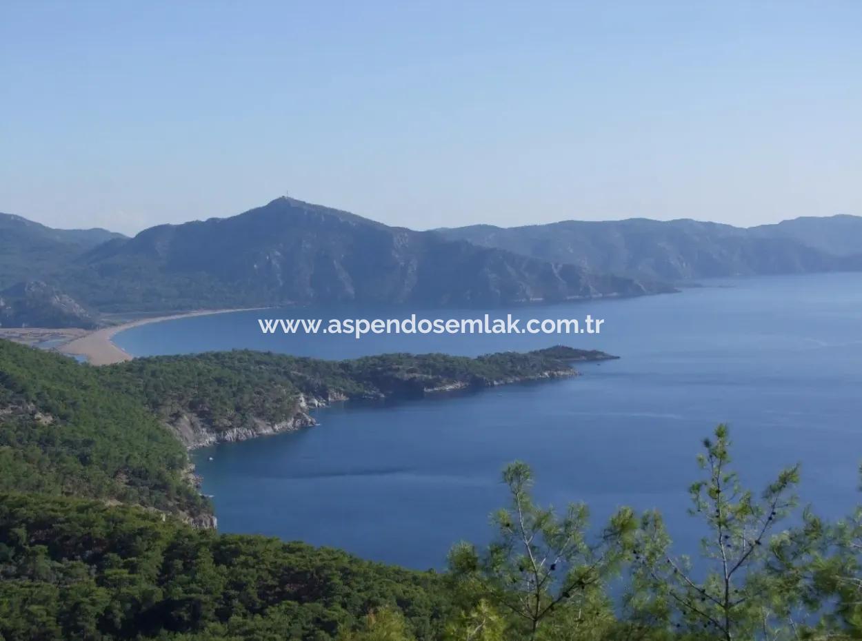 Real Estate Bargain Plot For Sale With Sea Views In Çandır Call In Ekincik