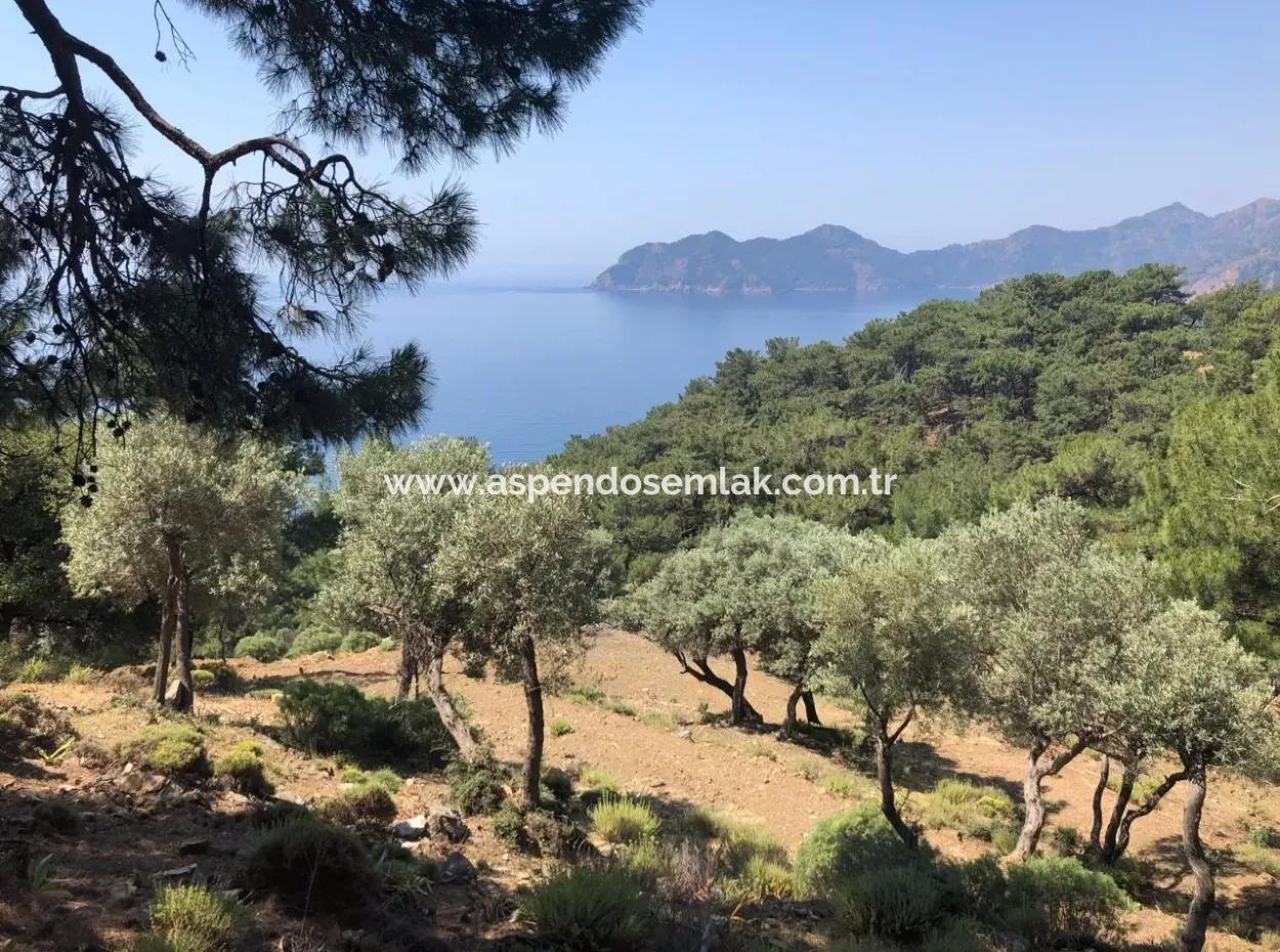 7034M2 Field For Sale With Sea View In Çandir