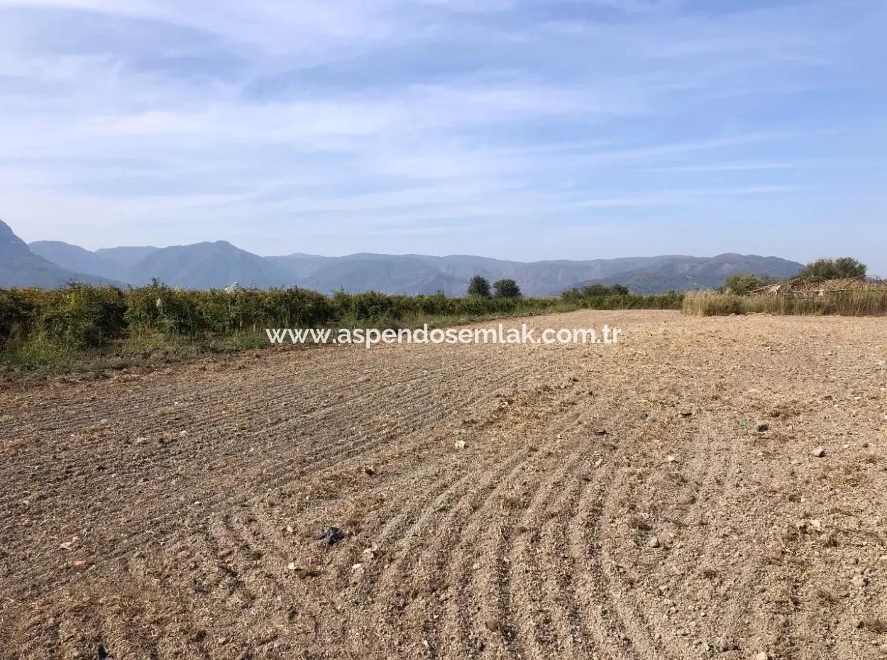 Land For Sale In Esköy 8500M2 Field Land For Sale