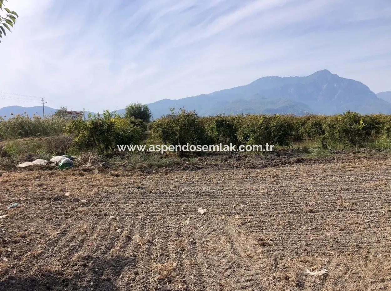 Land For Sale In Esköy 8500M2 Field Land For Sale