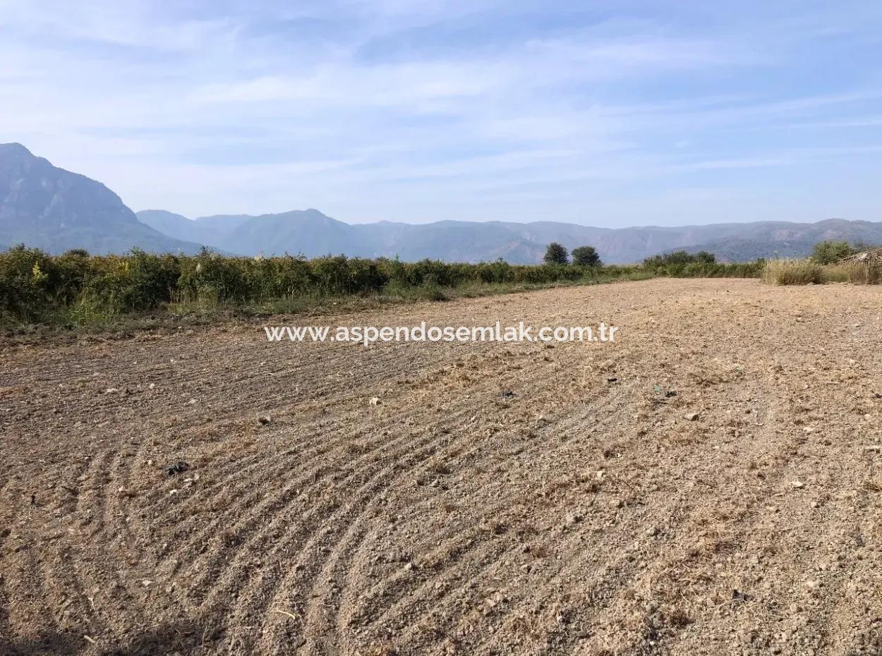 Land For Sale In Esköy 8500M2 Field Land For Sale
