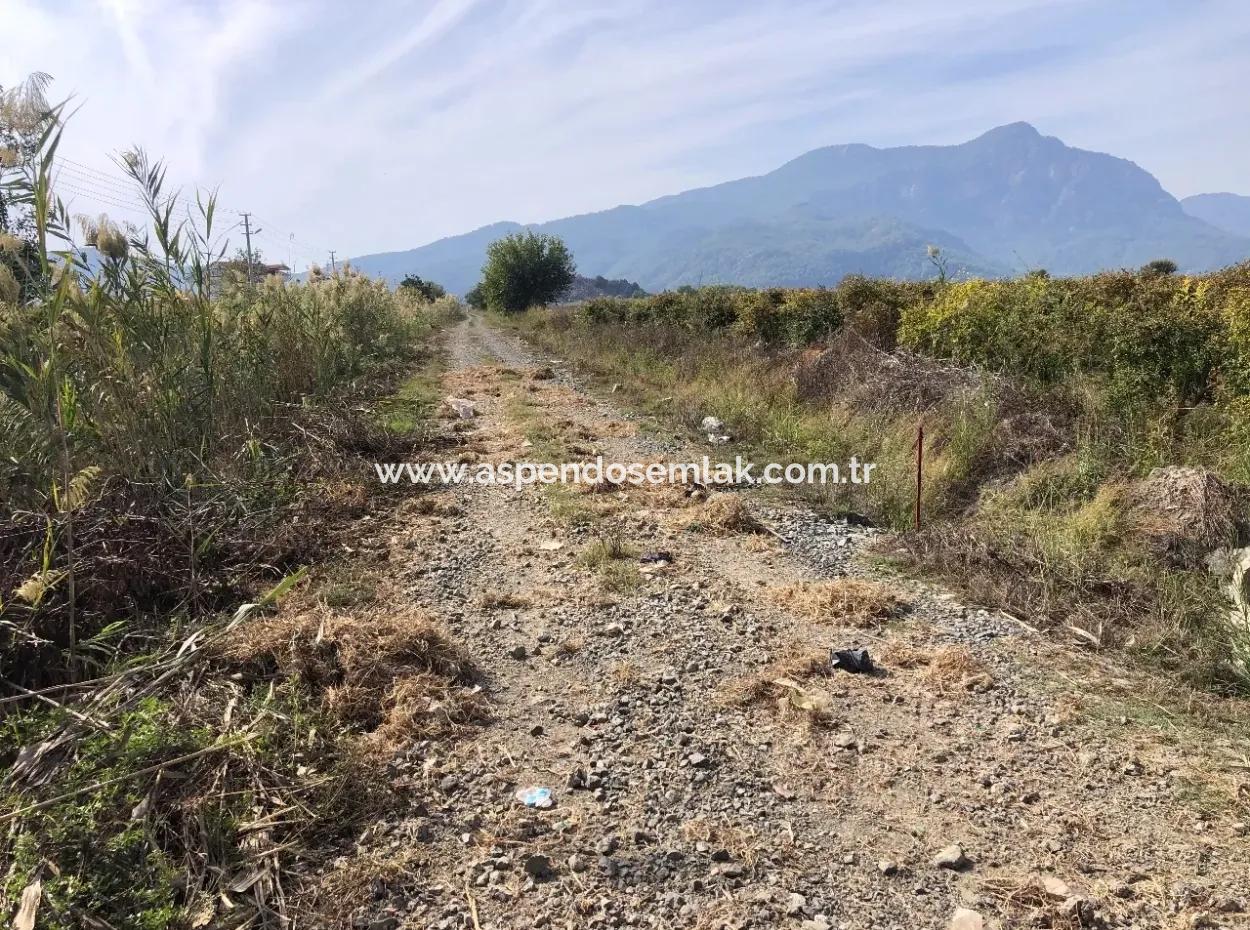 Land For Sale In Esköy 8500M2 Field Land For Sale