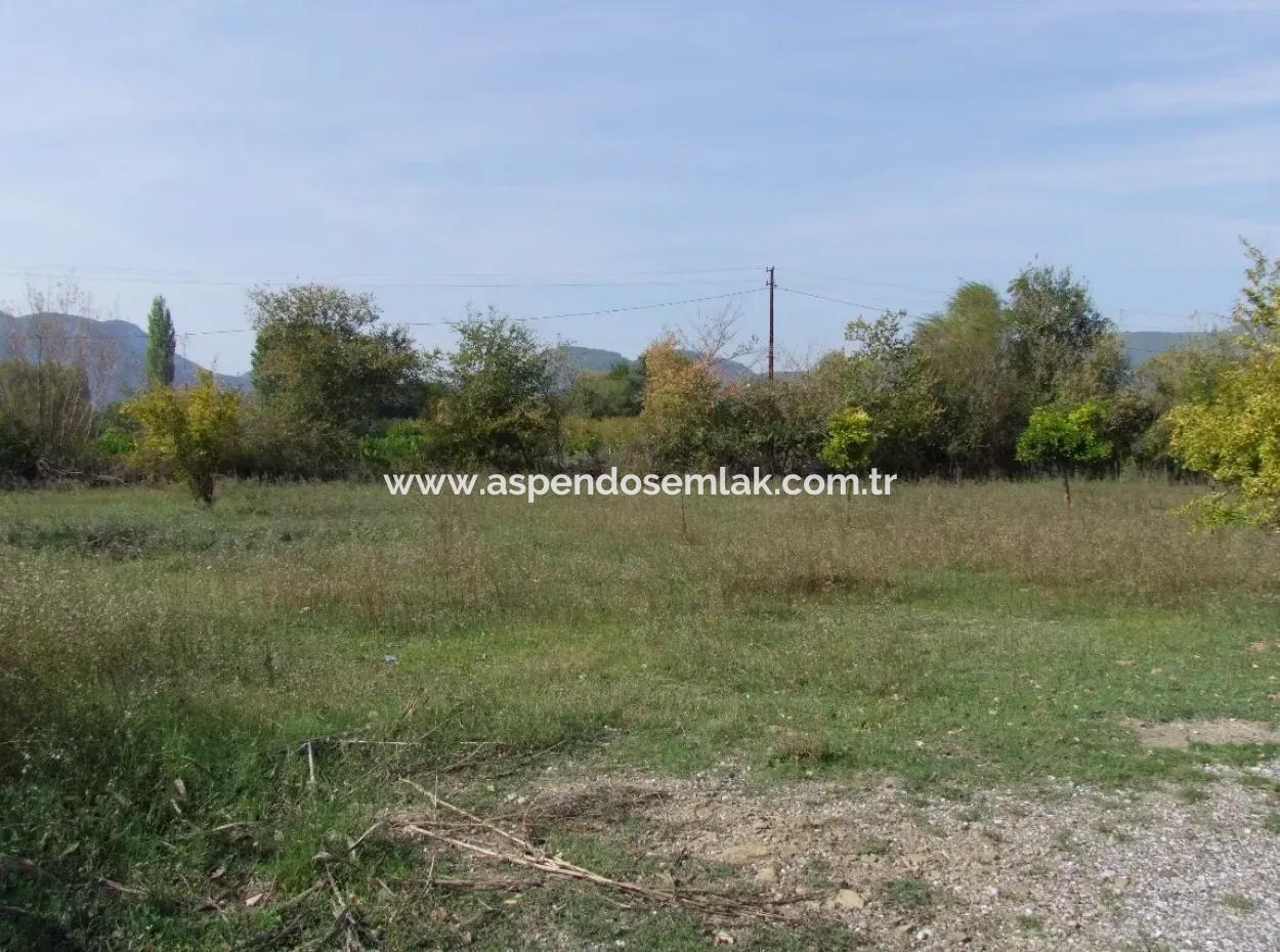 Land For Sale In Guzelyurt Land For Sale Zero 5515M2 Land For Sale On The Main Road