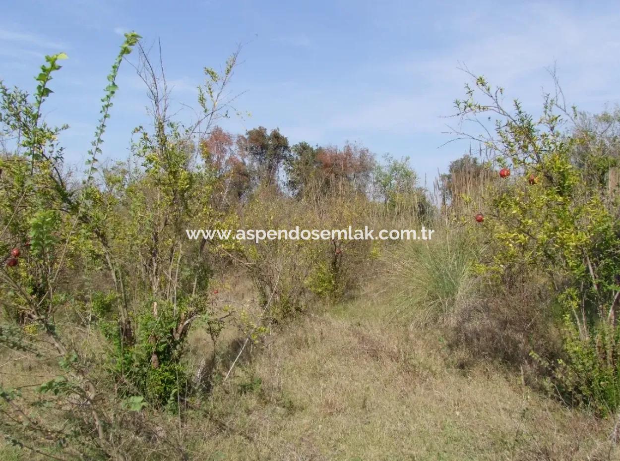 Güzelyurt Land For Sale Village Built 6670M2 Land For Sale