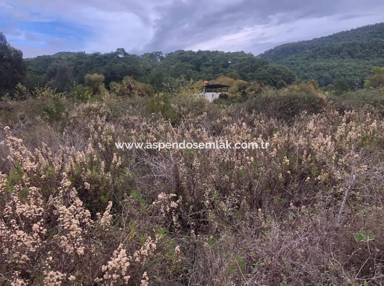 Land  For Sale Zero To Çamlı Canal 28768M2 Land For Sale With Sea View In Camlida