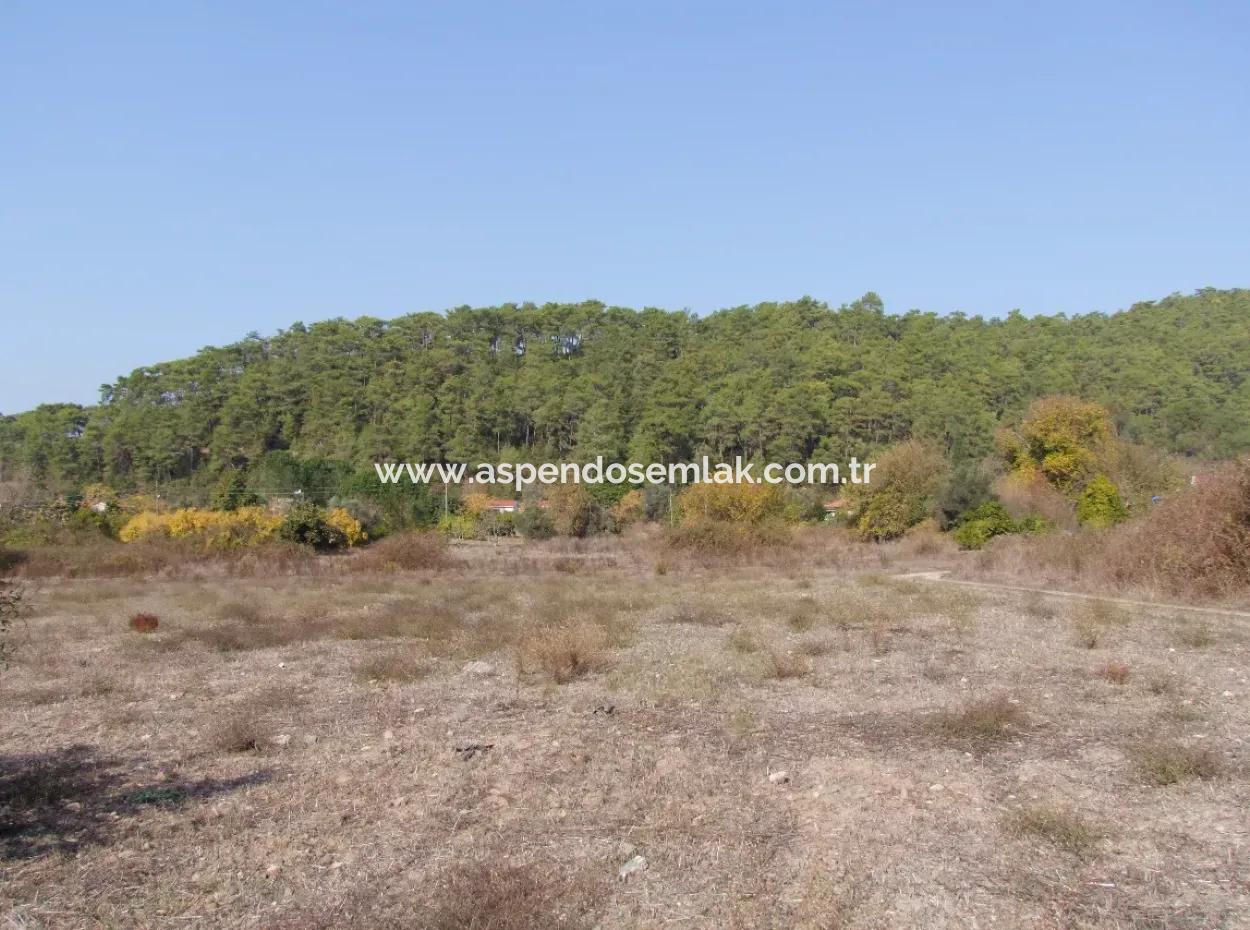 6850M2 Zoning Land With Sea View In Çamlı