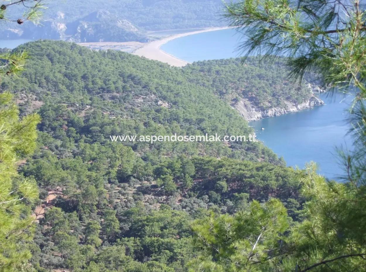 Real Estate Bargain Plot For Sale With Sea Views In Çandır Call In Ekincik