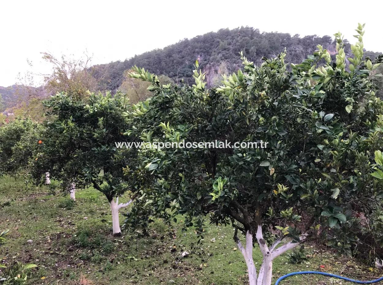 Single-Storey Detached House For Sale In 1222M2 Plot In Archers