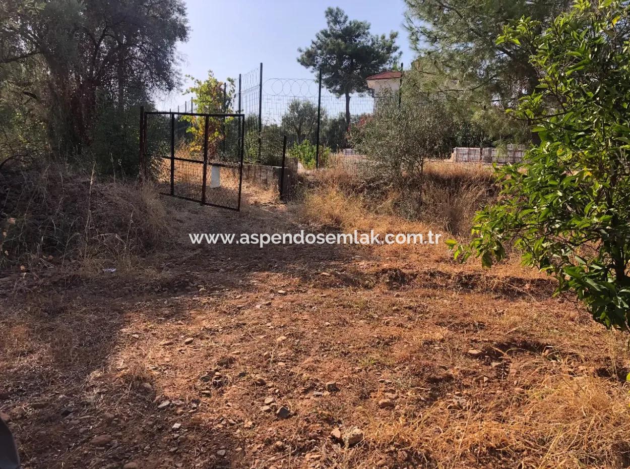 Land Field For Sale In Köyceğinz Yangi 9406M2 Land For Sale
