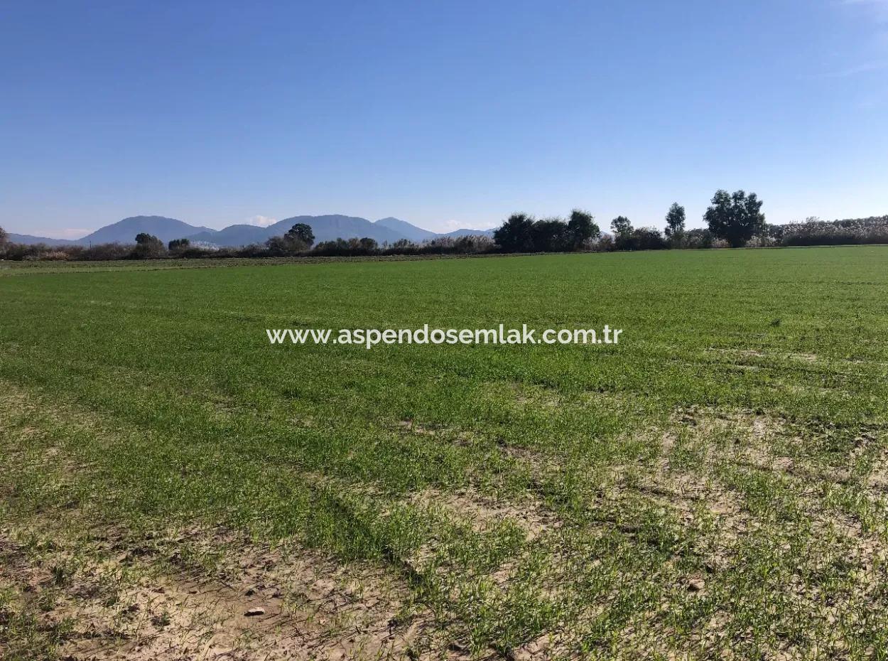 Land For Sale In Sarıgermede 30,000M2 Land For Sale With Sea View