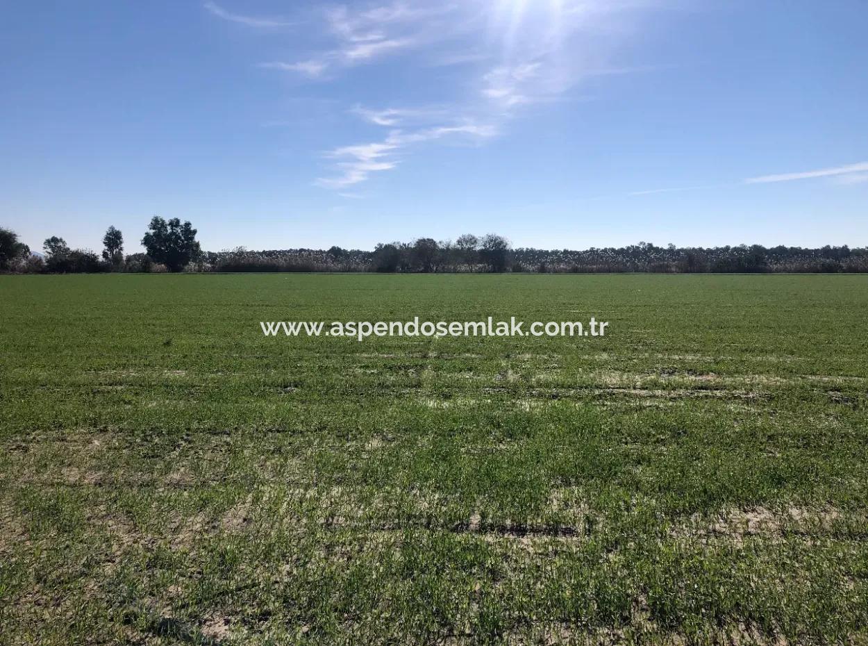 Land For Sale In Sarıgermede 30,000M2 Land For Sale With Sea View