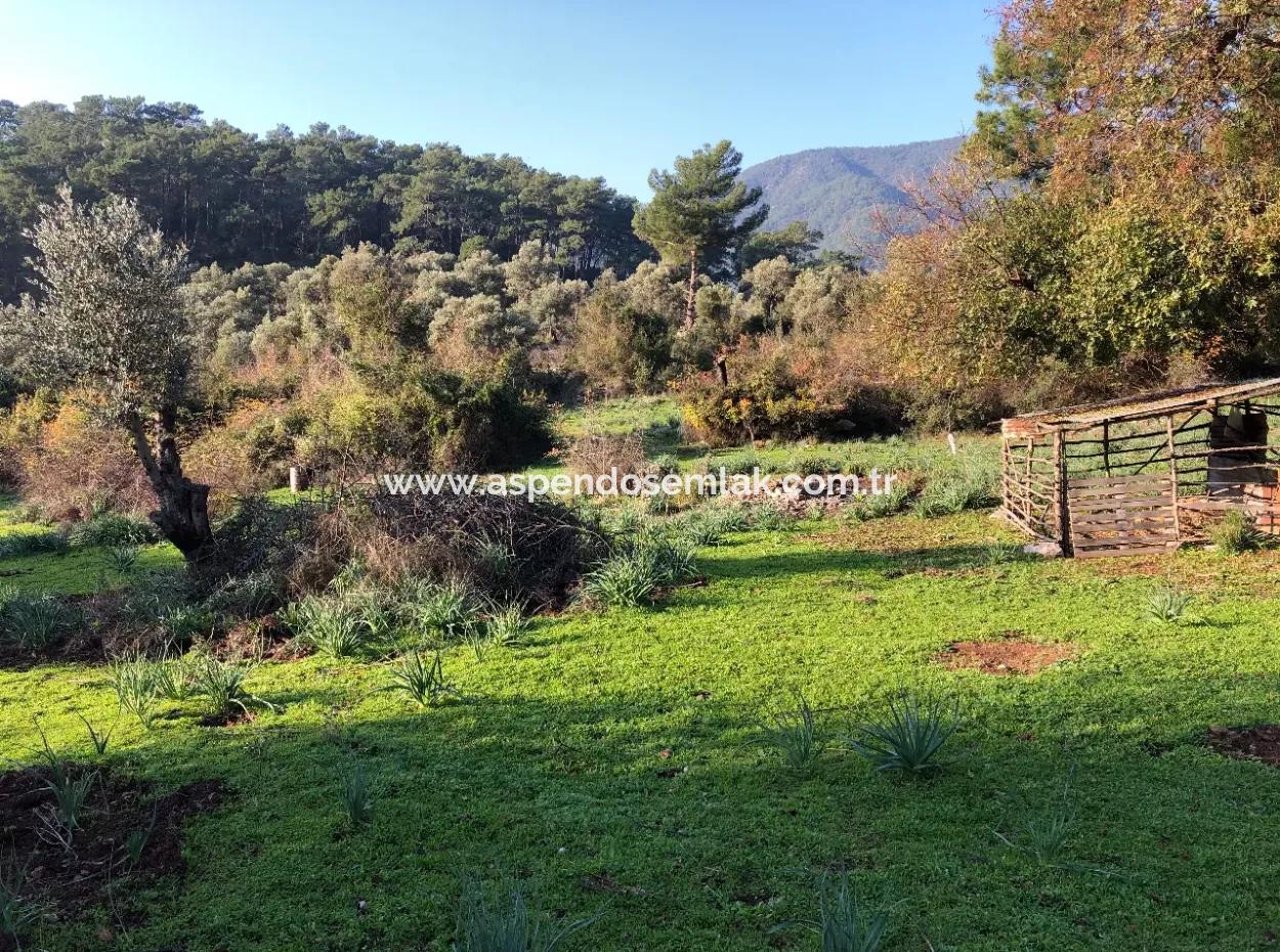 Ekincik Land For Sale 10,038M2 Land For Sale Field