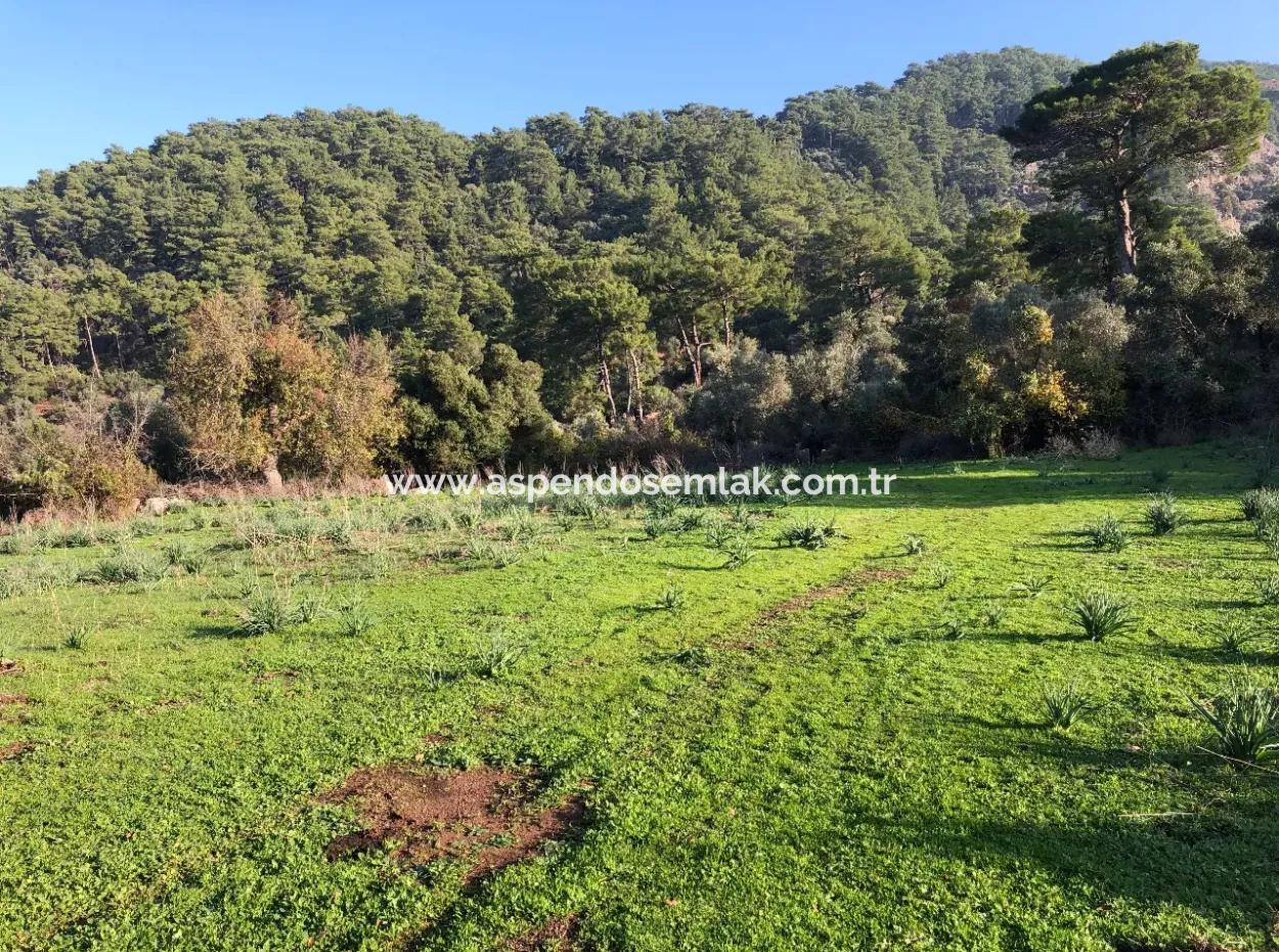 Ekincik Land For Sale 10,038M2 Land For Sale Field